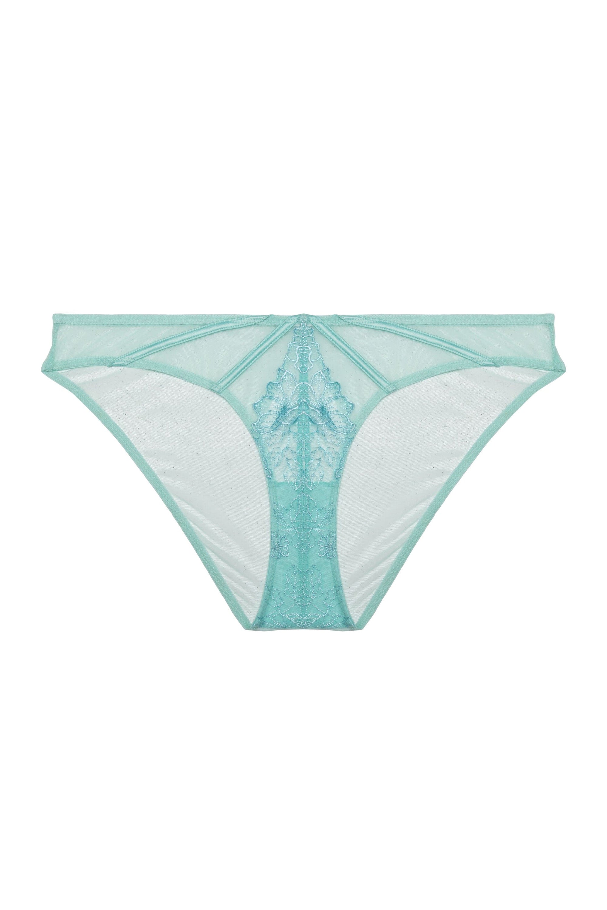 Valerie Aqua Embroidery & Mesh Brief