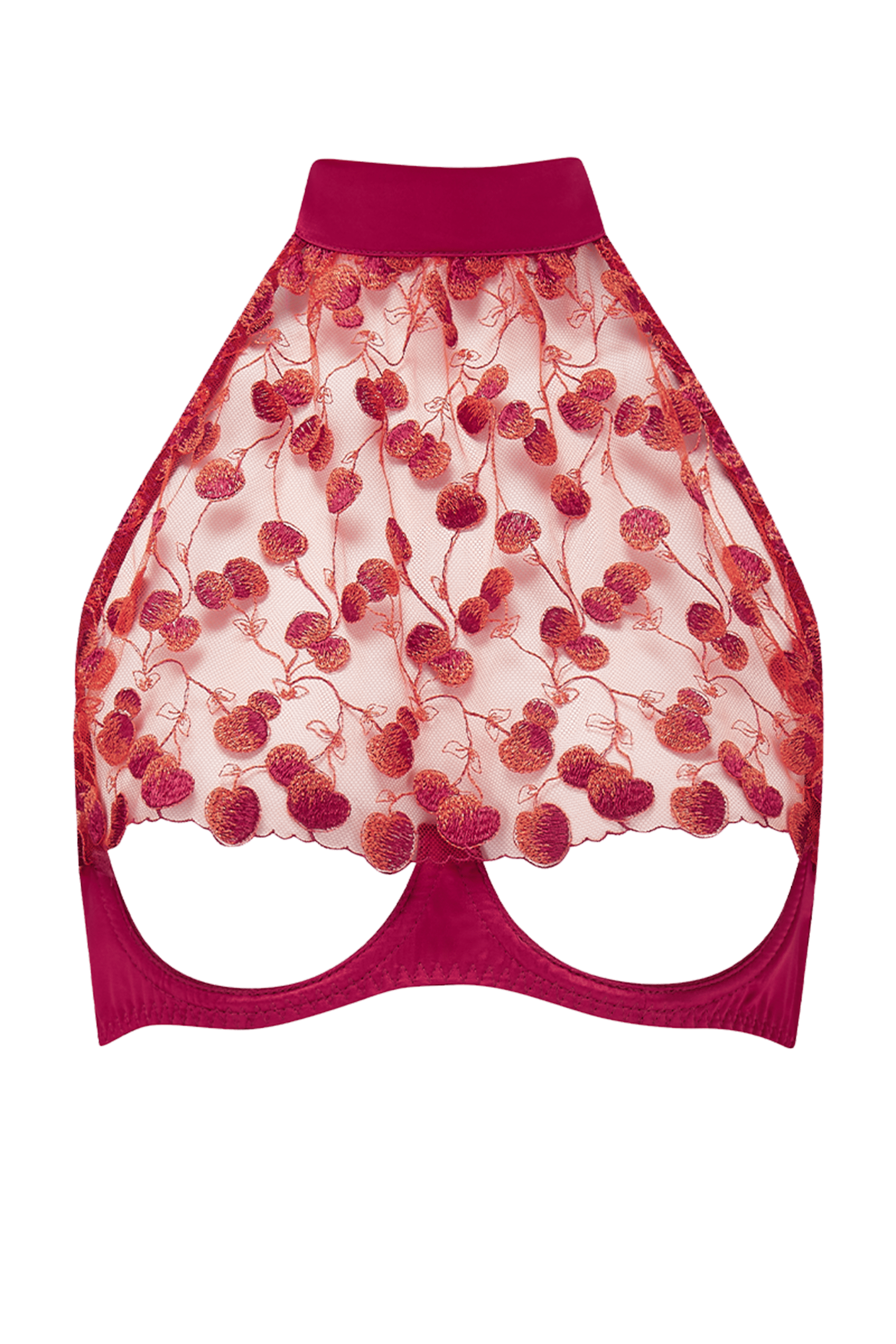 Naomi Cherry Halter Neck Bra