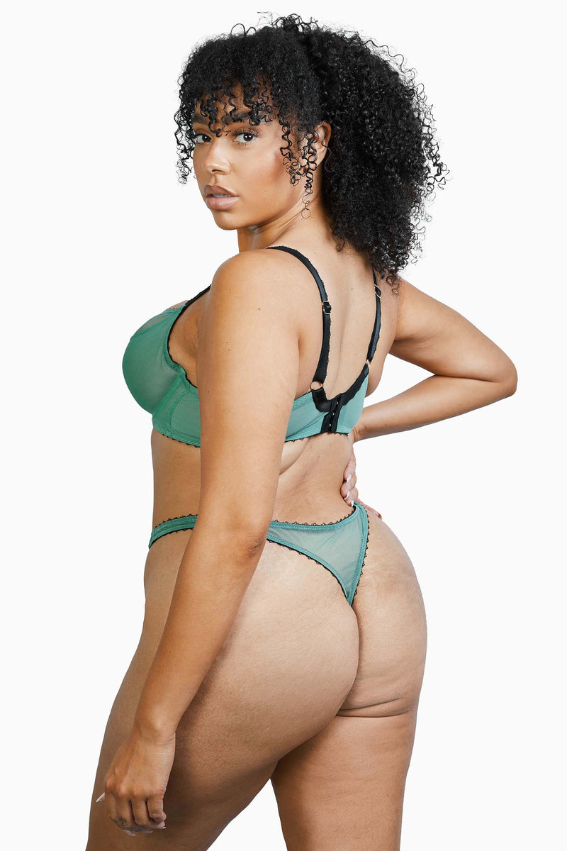 Curve